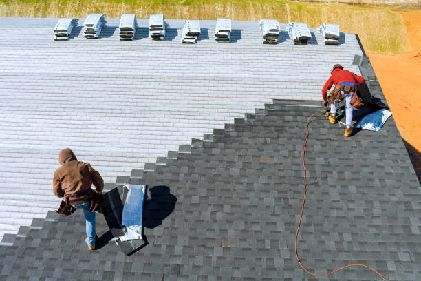 Best Storm Damage Roof Repair  in Portsmouth, VA